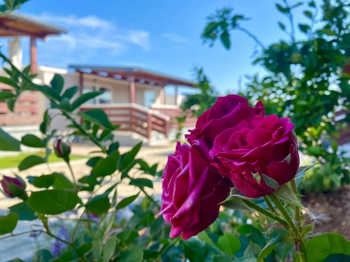 Mobile Homes Kamp Maslina, Biograd Na Moru 0*,